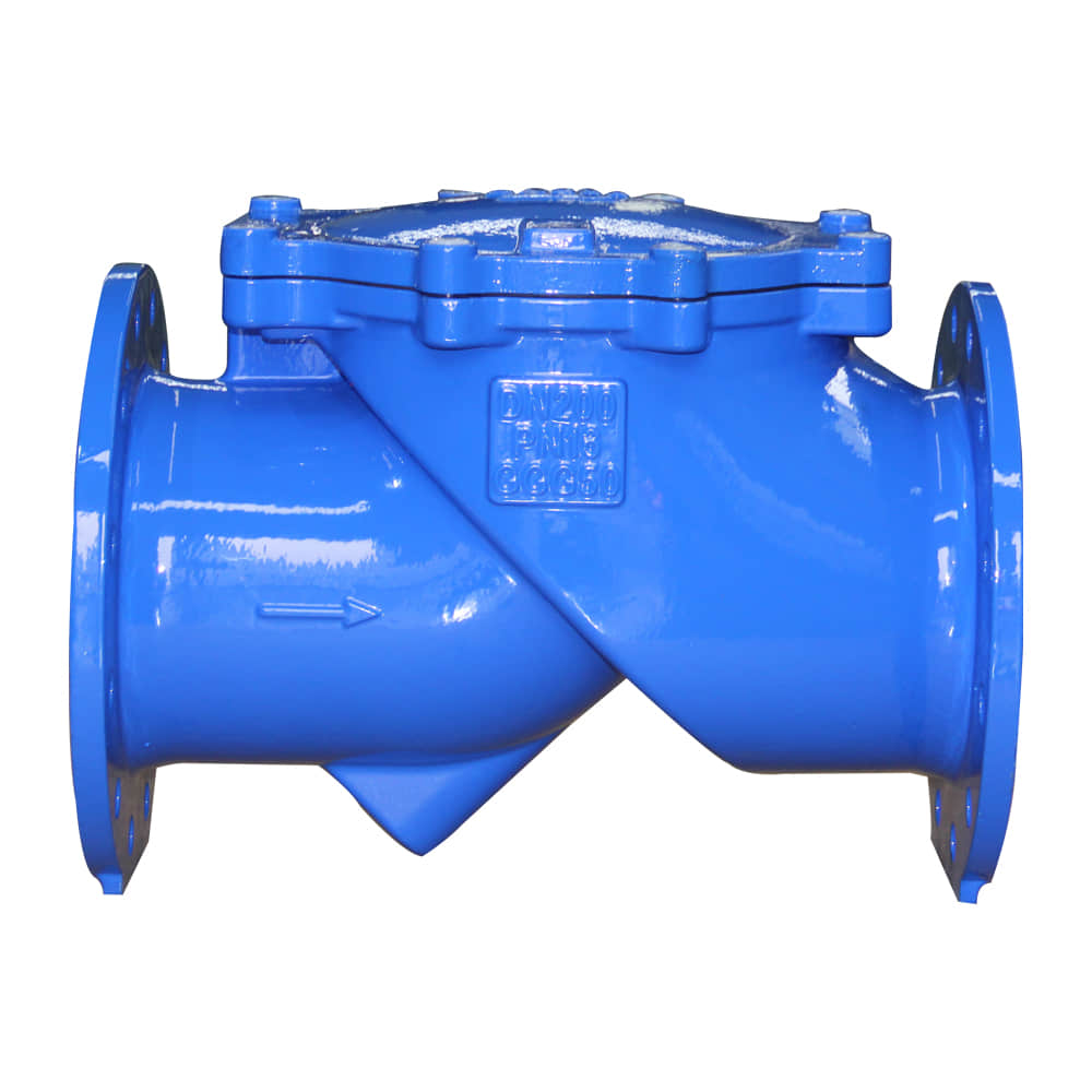 Check Valve