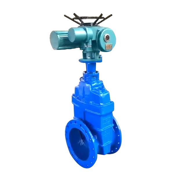 Electric gate valve